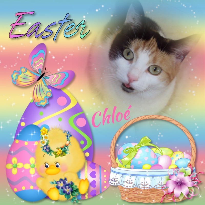 erna63 uploaded   7  day/s  ago