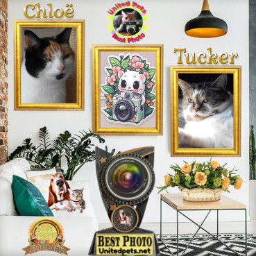 Chloë of the erna63 family