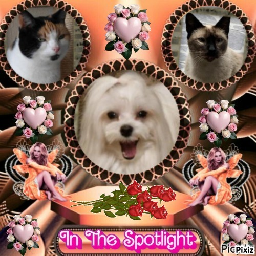 erna63 uploaded   43  day/s  ago