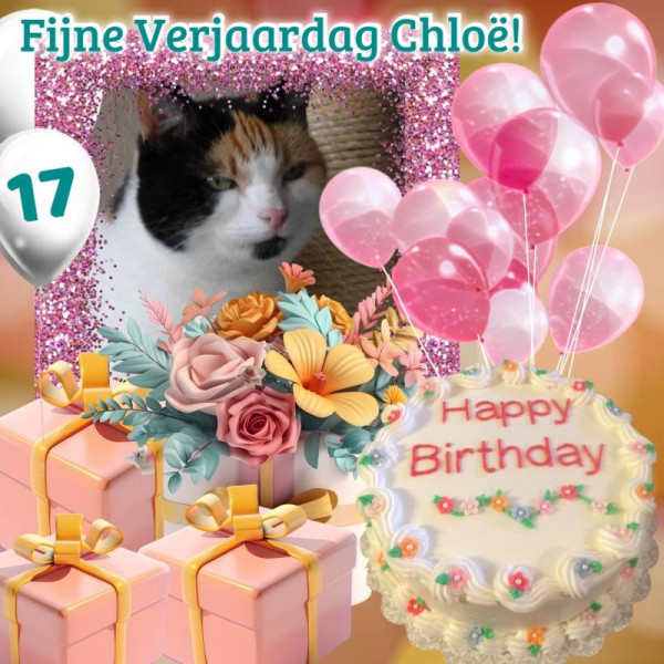 erna63 uploaded   11  day/s  ago