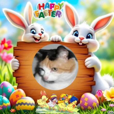 erna63 uploaded   7  day/s  ago