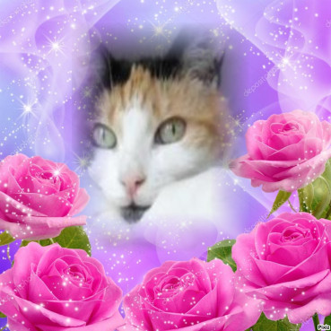 erna63 uploaded   51  day/s  ago