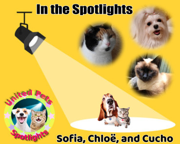 erna63 uploaded   42  day/s  ago