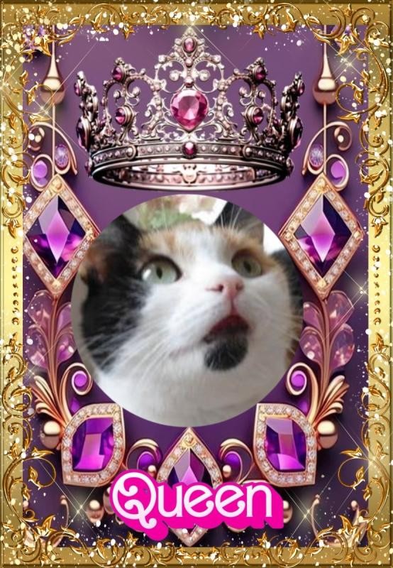 Chloë of the erna63 family