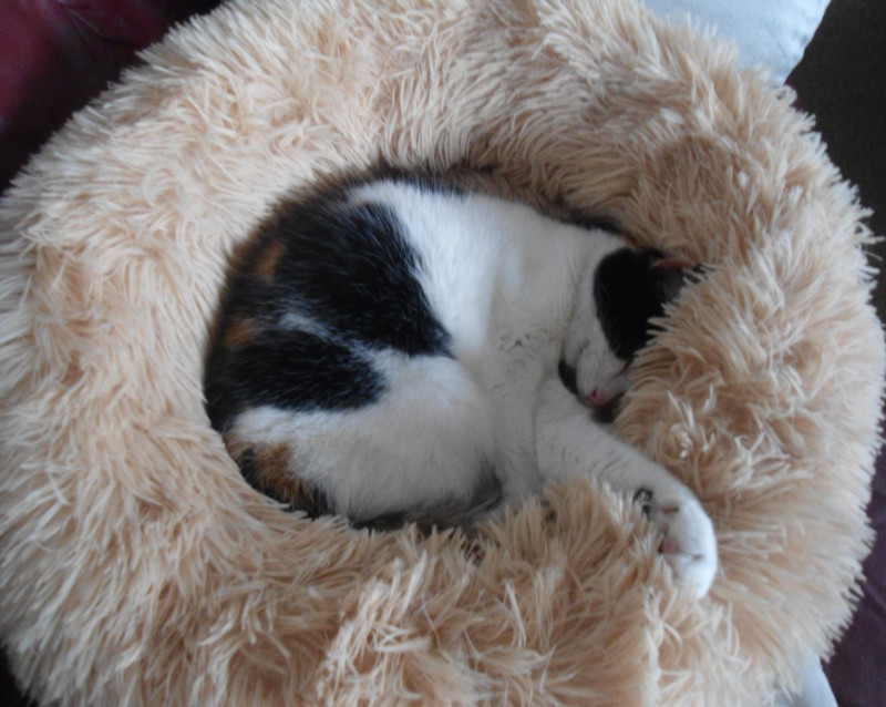 erna63 uploaded   28  day/s  ago