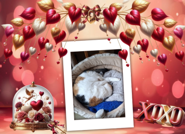 Chloë of the erna63 family