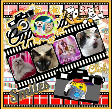 erna63 uploaded   43  day/s  ago