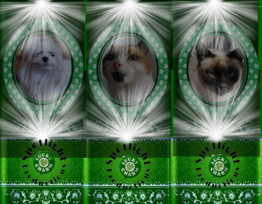 erna63 uploaded   43  day/s  ago