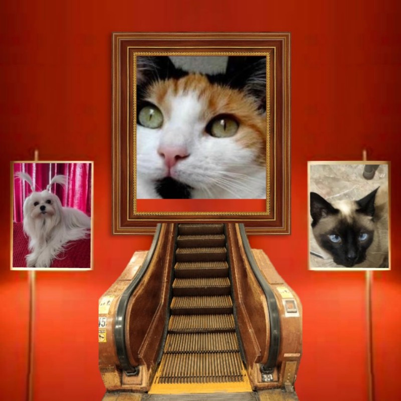 Chloë of the erna63 family