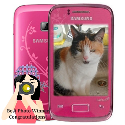 erna63 uploaded   67  day/s  ago