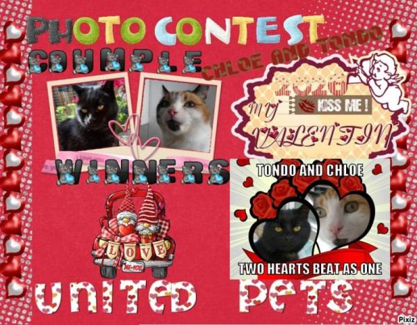 erna63 uploaded   67  day/s  ago