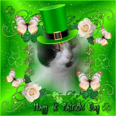 erna63 uploaded   32  day/s  ago