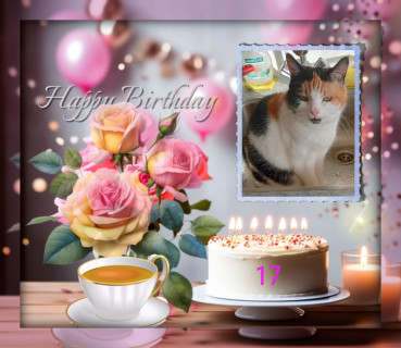 erna63 uploaded   11  day/s  ago