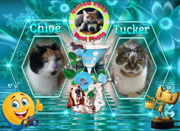 erna63 uploaded   22 hour/s ago