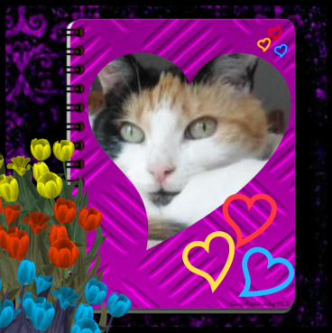 erna63 uploaded   22 hour/s ago