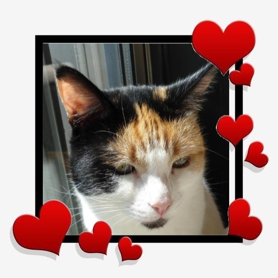 erna63 uploaded   16  day/s  ago