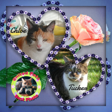 erna63 uploaded   67  day/s  ago