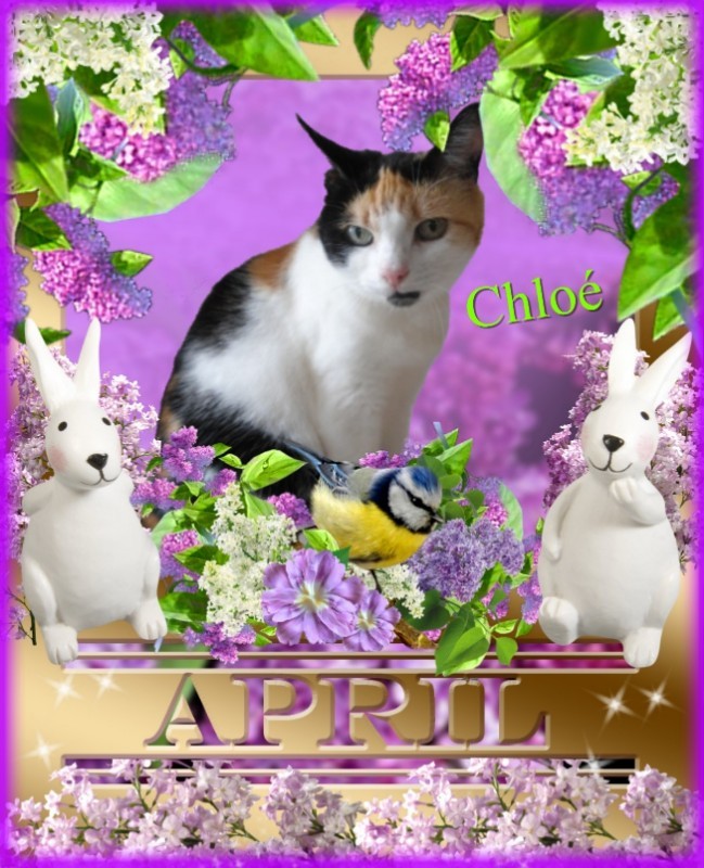 erna63 uploaded   7  day/s  ago