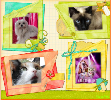 erna63 uploaded   34  day/s  ago