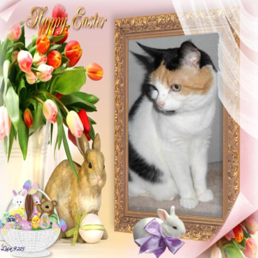 erna63 uploaded   7  day/s  ago