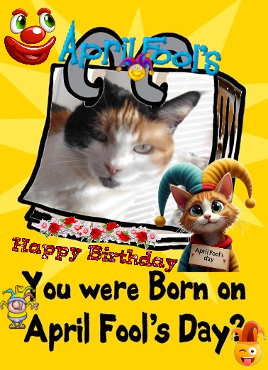 erna63 uploaded   9  day/s  ago