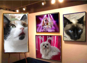 erna63 uploaded   42  day/s  ago