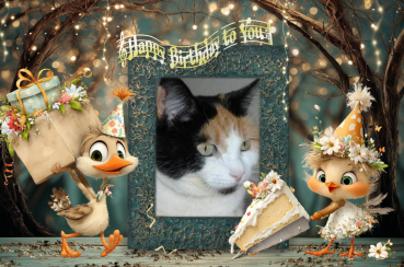 erna63 uploaded   11  day/s  ago