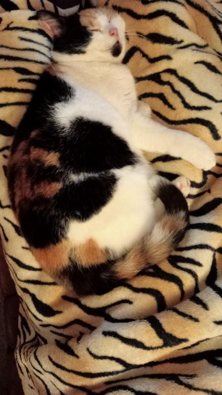 erna63 uploaded   1  day/s  ago