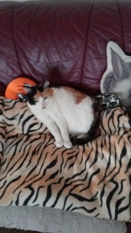 erna63 uploaded   4  day/s  ago