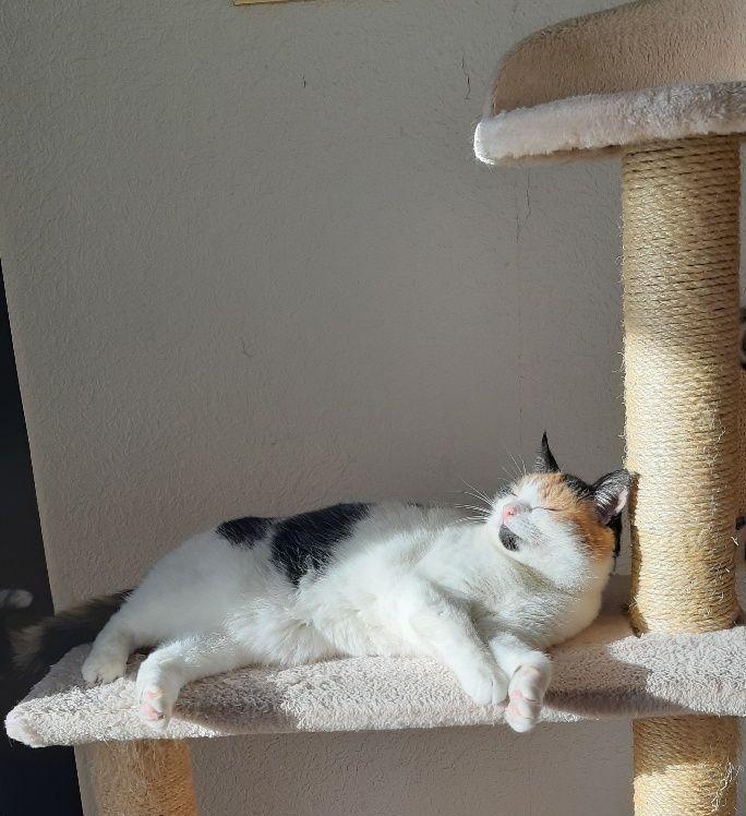 erna63 uploaded   4  day/s  ago