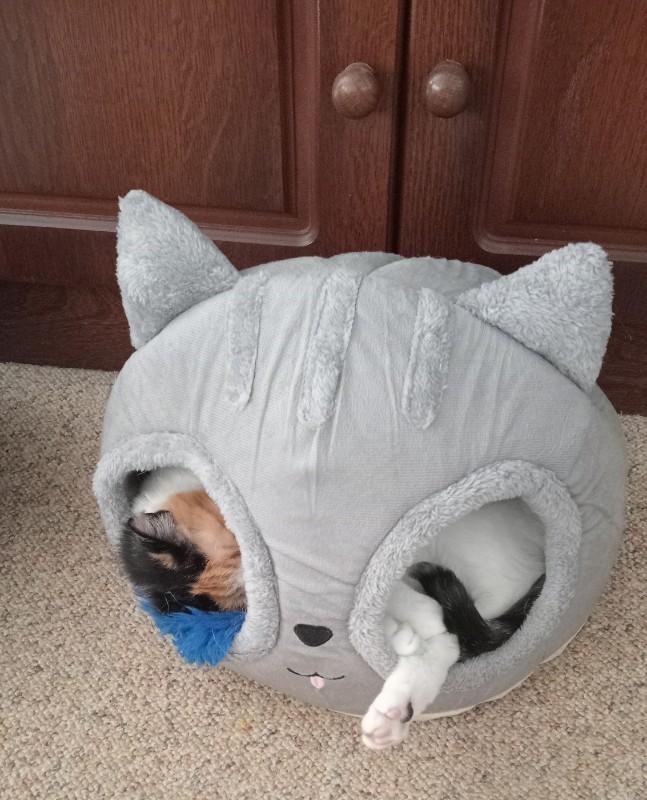 erna63 uploaded   4  day/s  ago