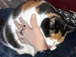 erna63 uploaded   2  day/s  ago