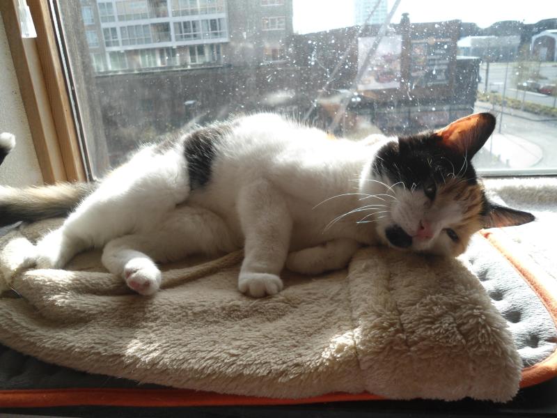 erna63 uploaded   2  day/s  ago