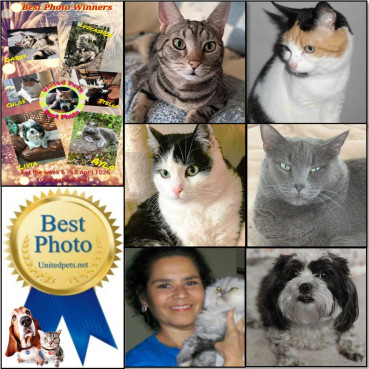 erna63 uploaded   13 hour/s ago