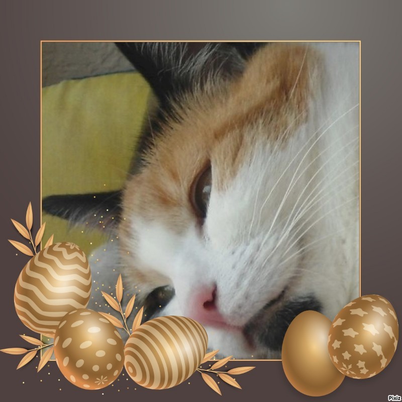 Chloë of the erna63 family