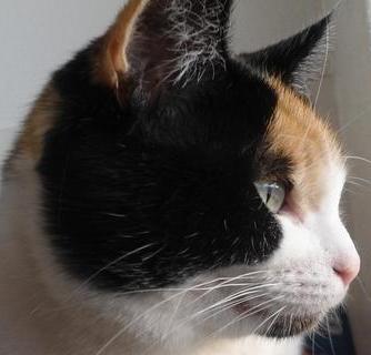 erna63 uploaded   1  day/s  ago