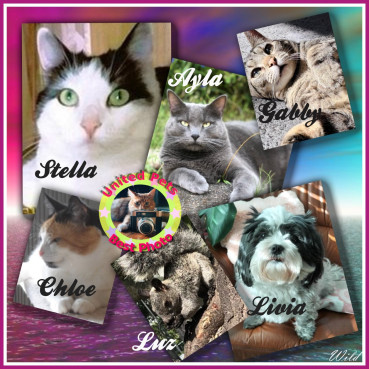 erna63 uploaded   13 hour/s ago