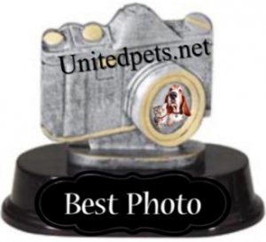 erna63 uploaded   3 hour/s ago