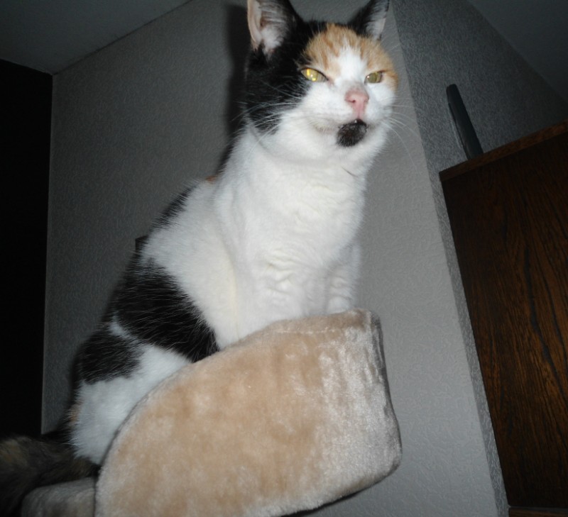 Chloë of the erna63 family