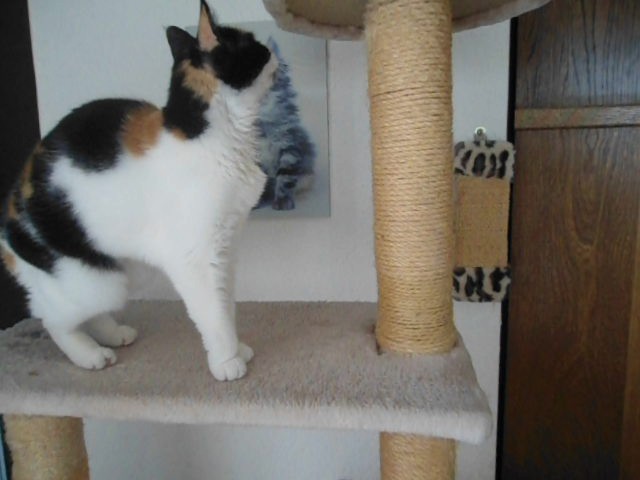 Chloë of the erna63 family