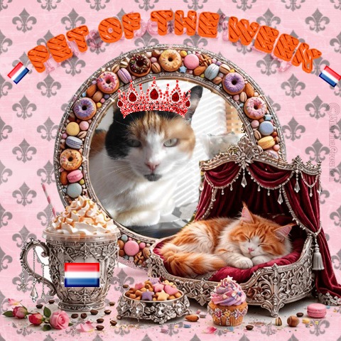 Chloë of the erna63 family