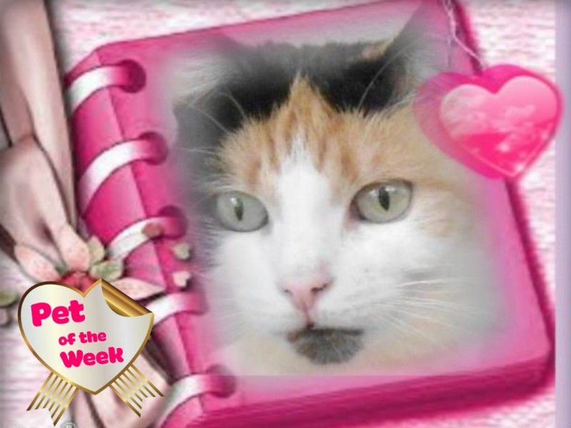 Chloë of the erna63 family