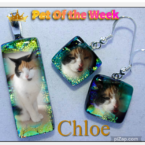 Chloë of the erna63 family