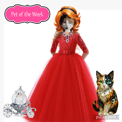 Chloë of the erna63 family
