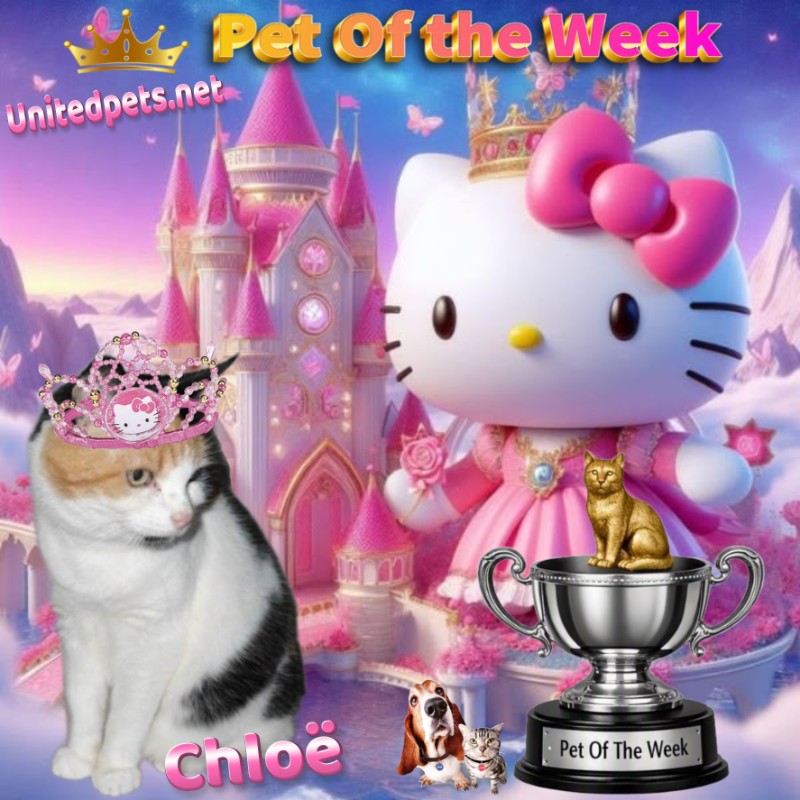 Chloë of the erna63 family