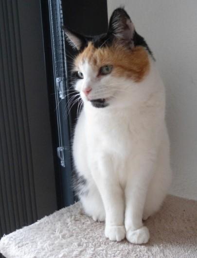 Chloë of the erna63 family