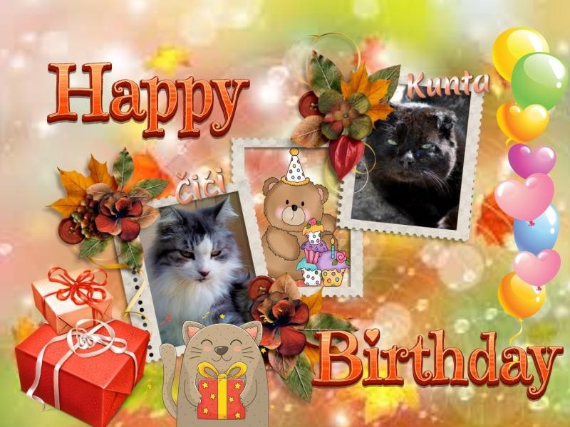 Kunta of the gatosnarrenses family