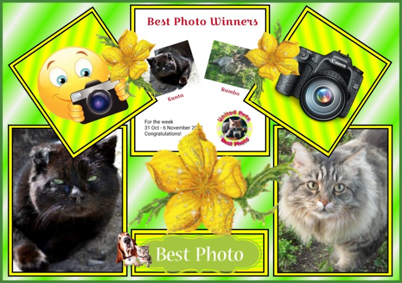 Kunta of the gatosnarrenses family