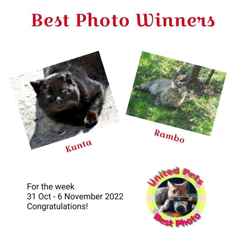 Kunta of the gatosnarrenses family