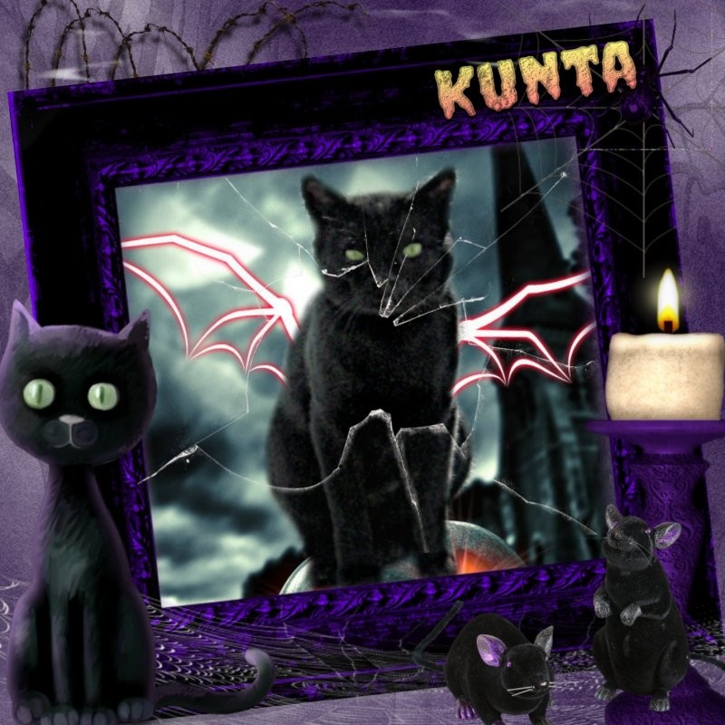 Kunta of the gatosnarrenses family